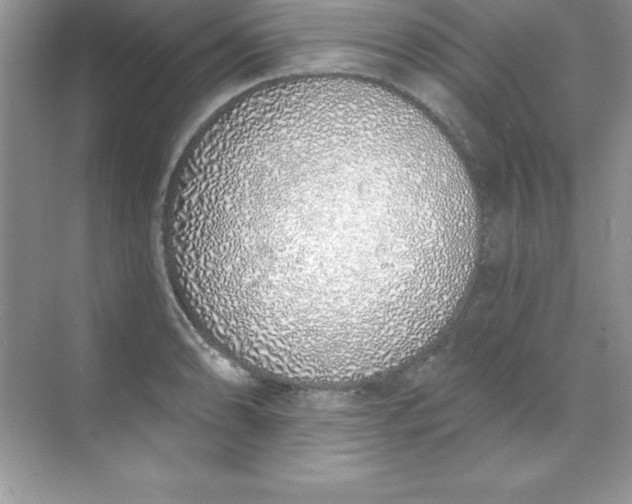 X0000071941086200607212154