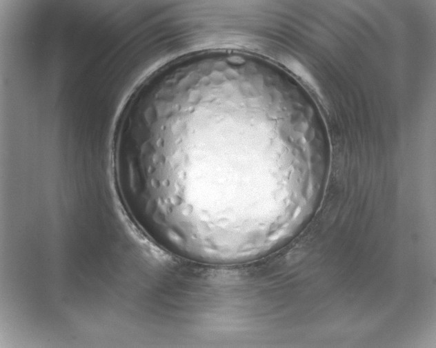 X0000071941088200607212154