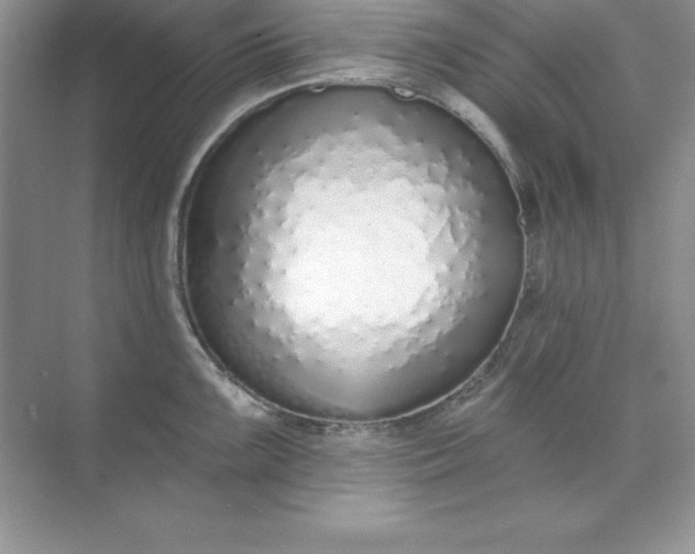 X0000071941099200607212154