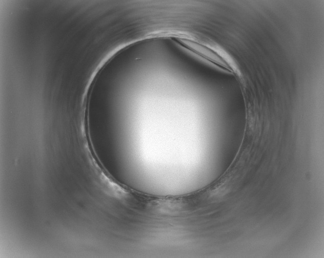 X0000071941102200607212154
