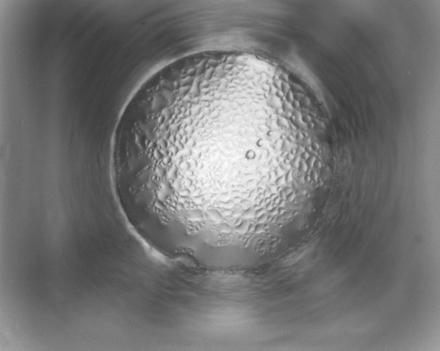 X0000071941103200607212154