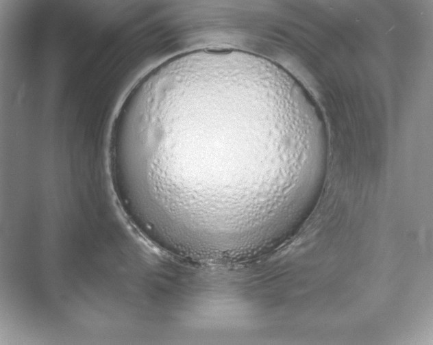 X0000071941104200607212154