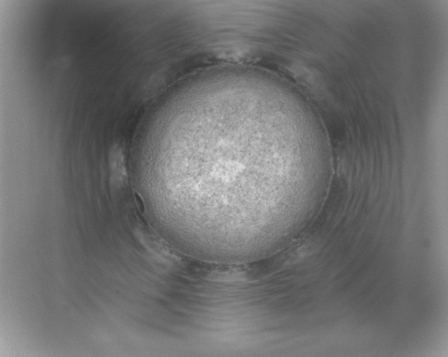 X0000071941106200607212153