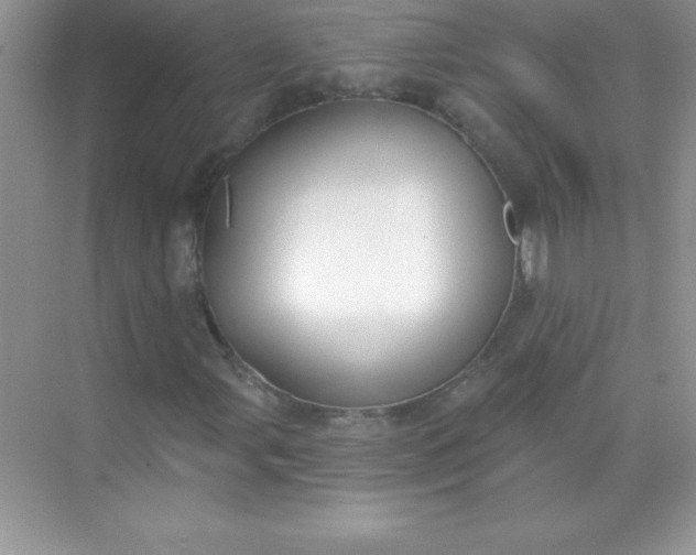 X0000071941107200607212153