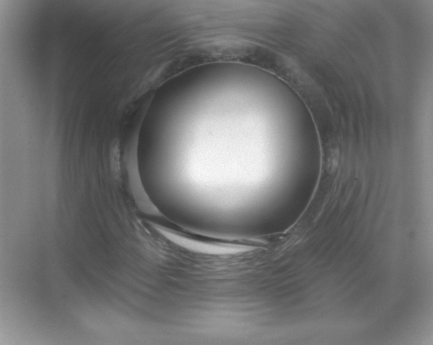 X0000071941108200607212153