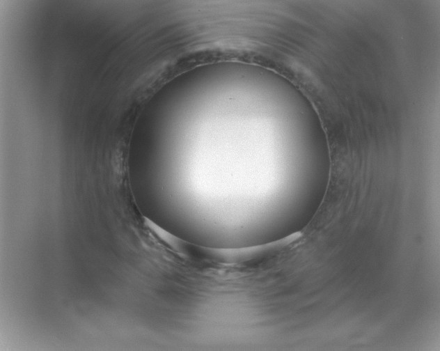 X0000071941110200607212153