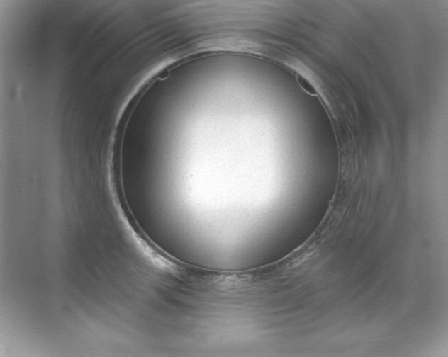 X0000071941139200607212154