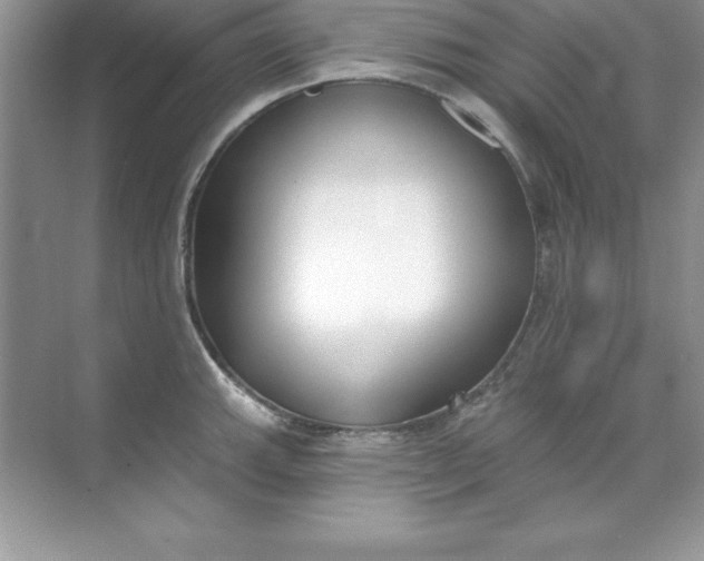 X0000071941143200607212154