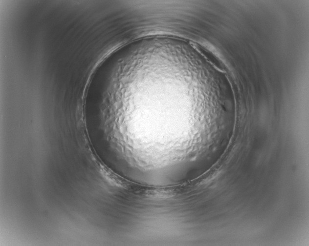 X0000071941145200607212154