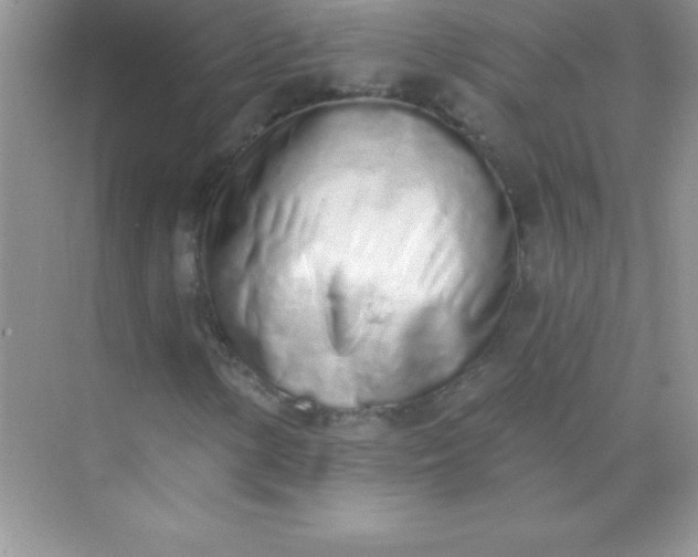 X0000071941154200607212153