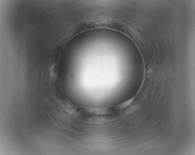 X0000071941156200607212153