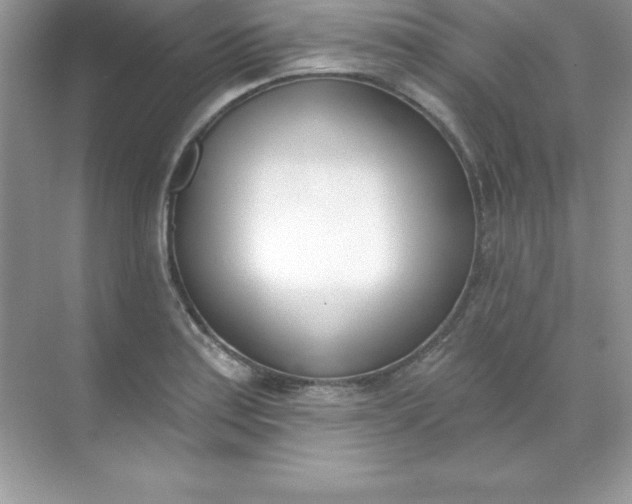 X0000071941179200607212153