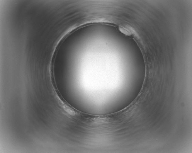 X0000071941181200607212153