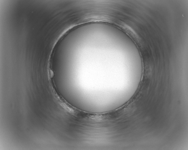 X0000071941182200607212153