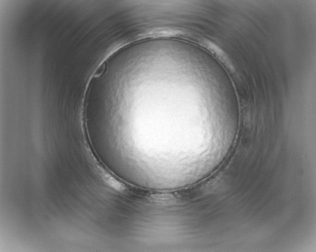 X0000071941186200607212152