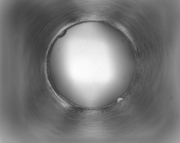 X0000071941187200607212152