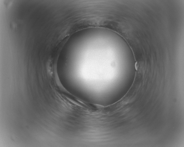 X0000071941202200607212151