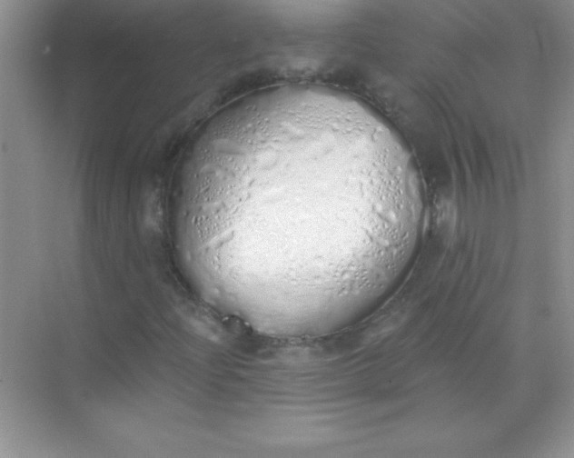 X0000071941204200607212151