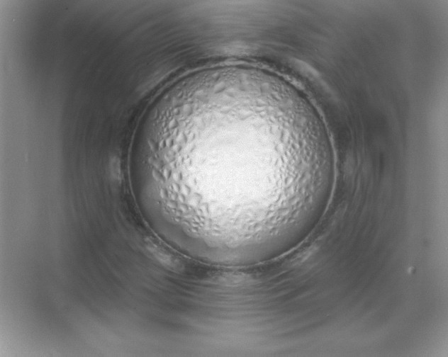 X0000071941209200607212152