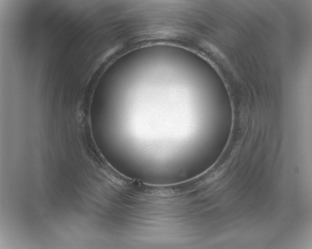 X0000071941210200607212152