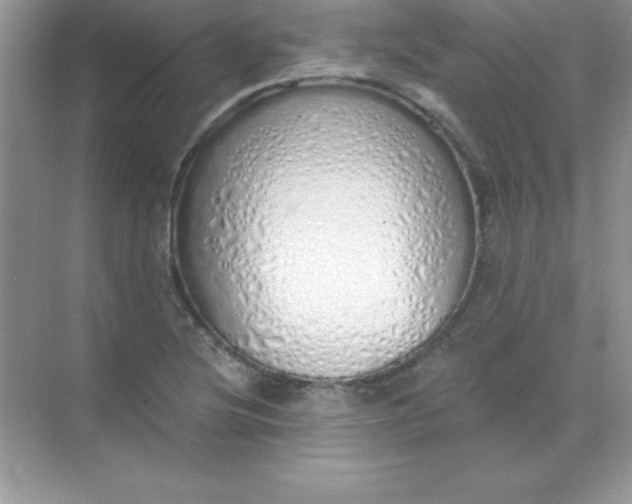 X0000071941220200607212152