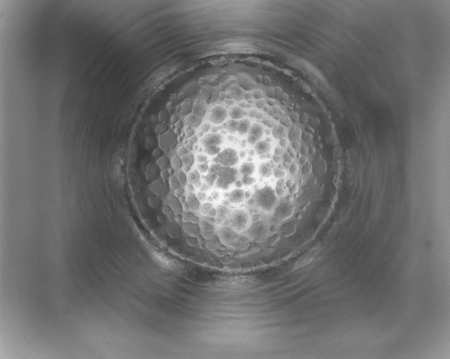 X0000071941225200607212152