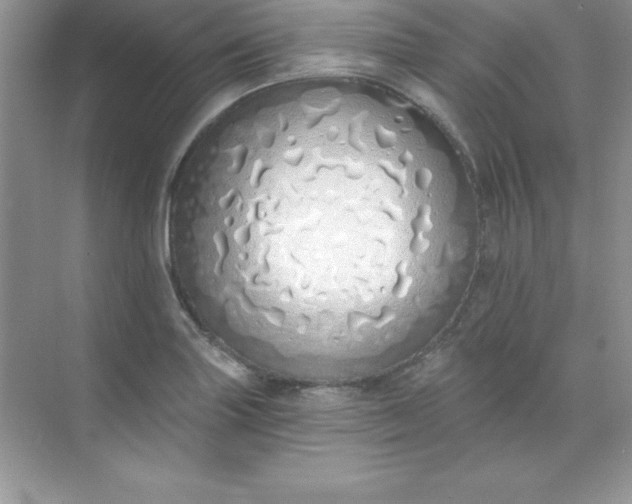 X0000071941227200607212152