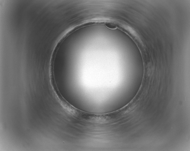 X0000071941229200607212152