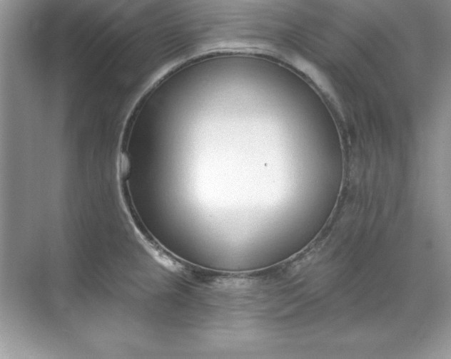 X0000071941237200607212152