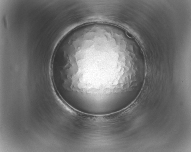 X0000071941239200607212152