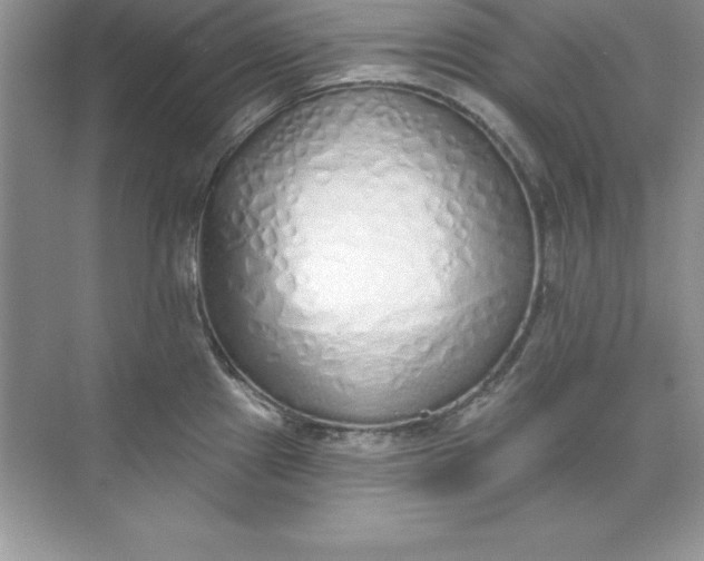 X0000071941241200607212152
