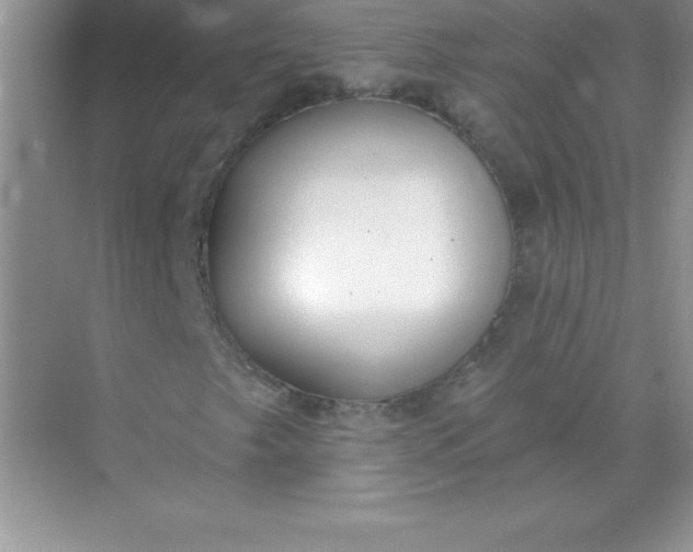 X0000071941249200607212151