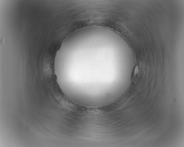 X0000071941250200607212151
