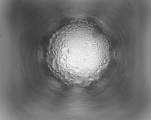 X0000071941251200607212151