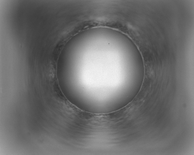 X0000071941253200607212151