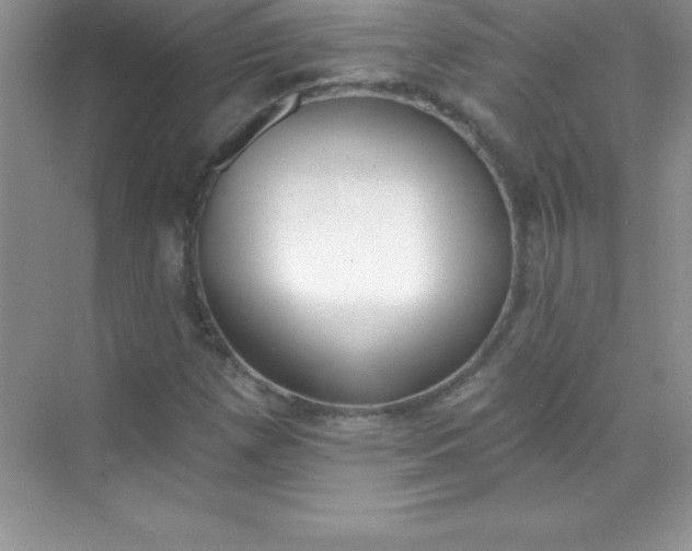 X0000071941257200607212151
