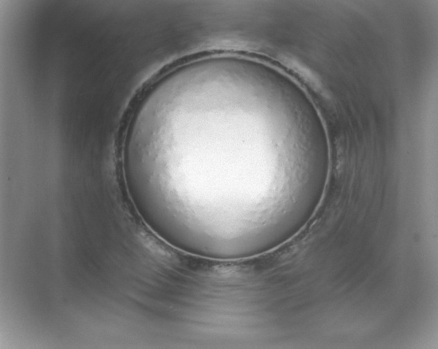 X0000071941264200607212151