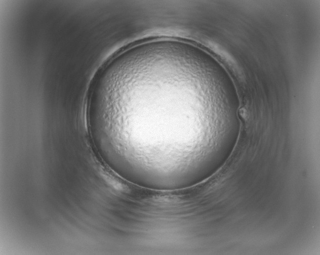 X0000071941272200607212151