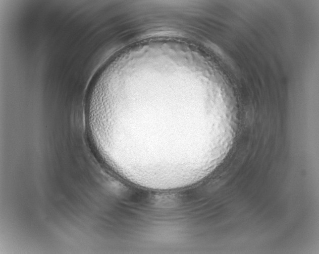 X0000071941274200607212151