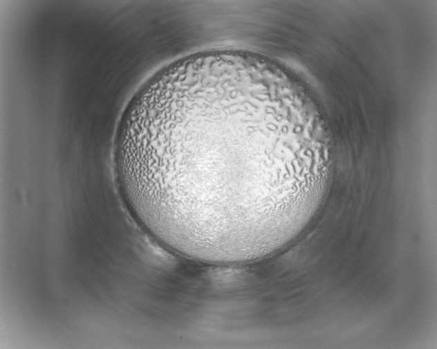 X0000071941278200607212151
