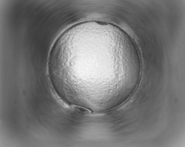 X0000071941296200607212151