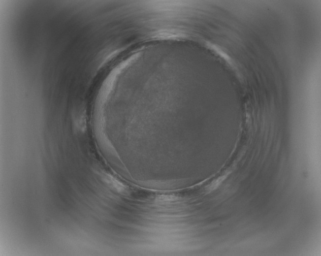X0000071941306200607212150