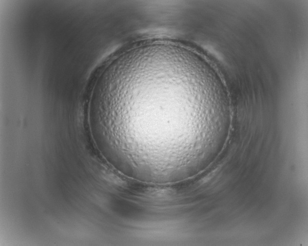 X0000071941309200607212150