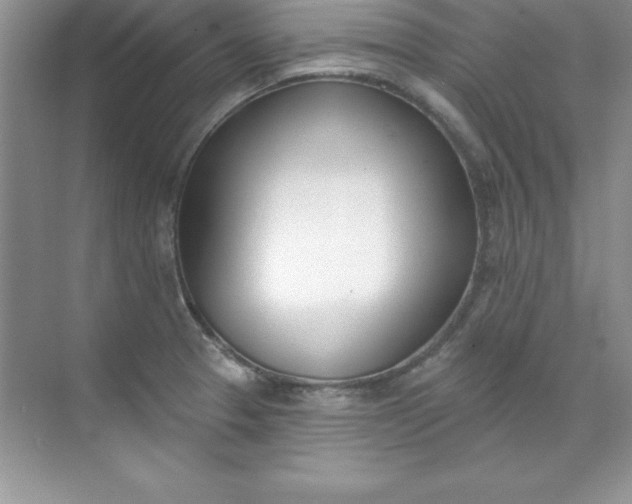 X0000071941329200607212150