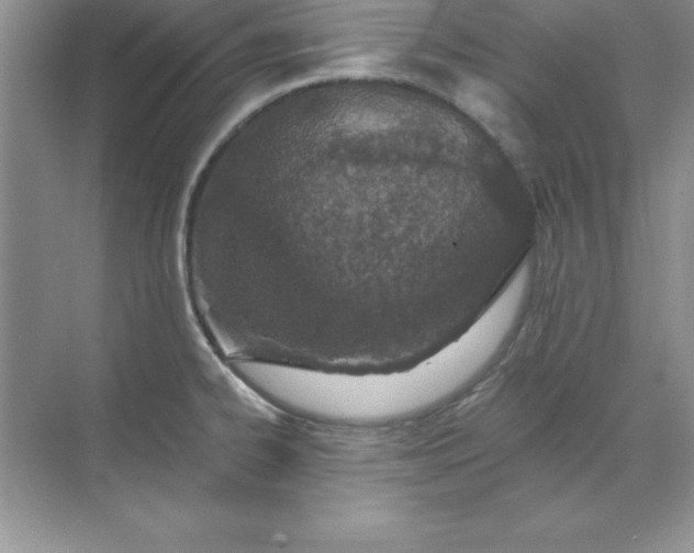 X0000071941334200607212150