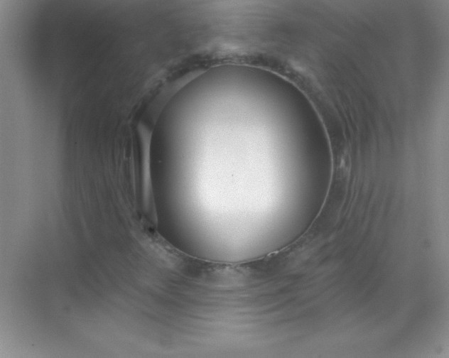 X0000071941348200607212150