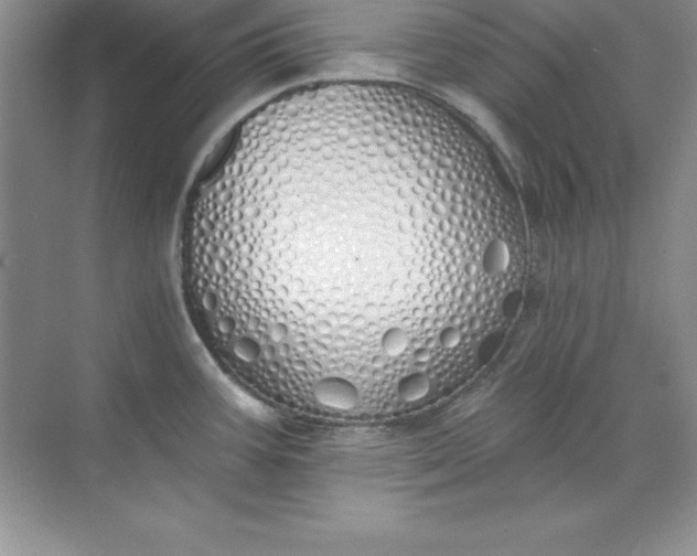 X0000071941387200607212149