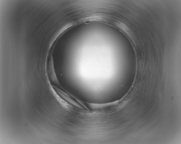 X0000071941426200607212149