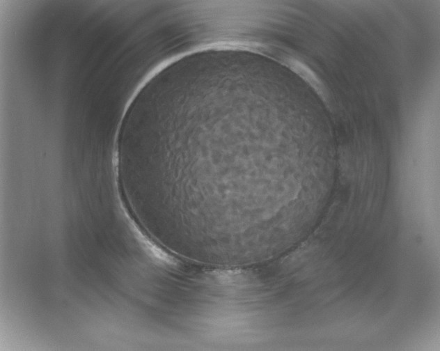 X0000071941428200607212149