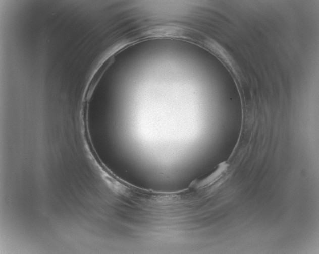 X0000071941434200607212149
